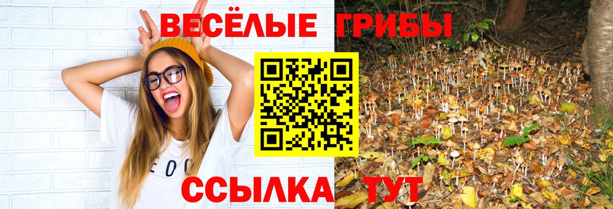 Ирбит  Галлюциногенные грибы Psilocybe  Вход с VPN 